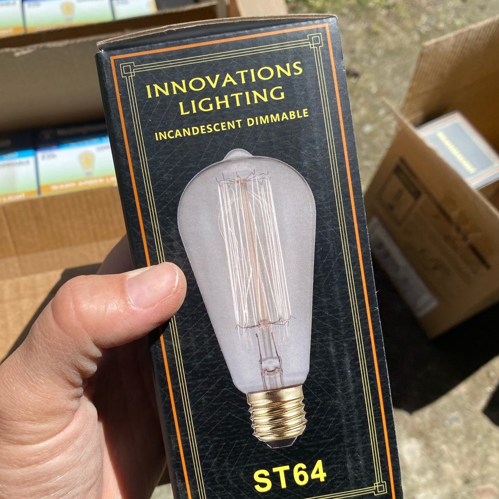 Incandescent Dimmable Edison Bulbs